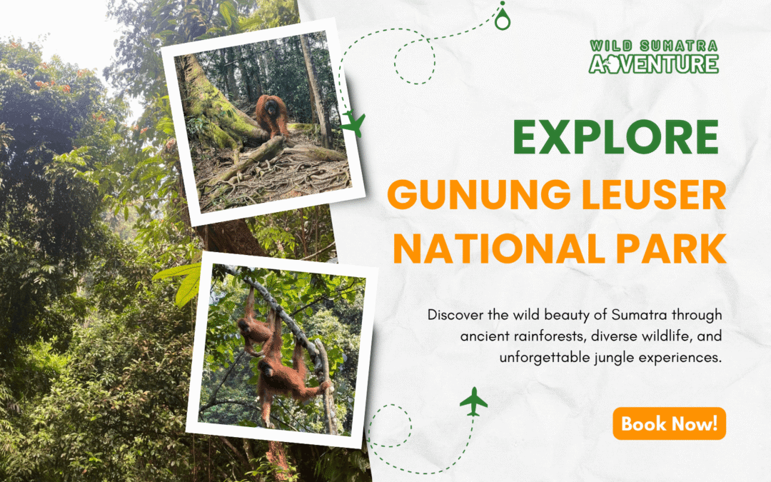 Explore Gunung Leuser National Park